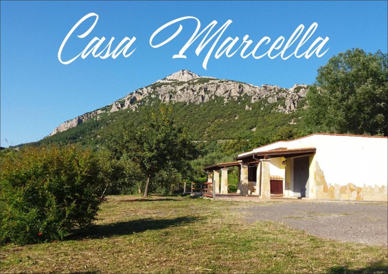 Casa Marcella Lägenhet Dorgali Exteriör bild