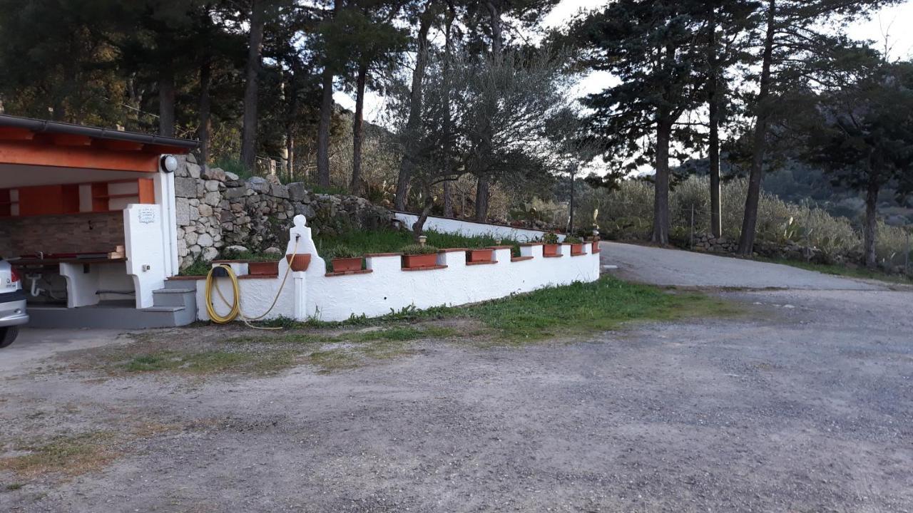 Casa Marcella Lägenhet Dorgali Exteriör bild