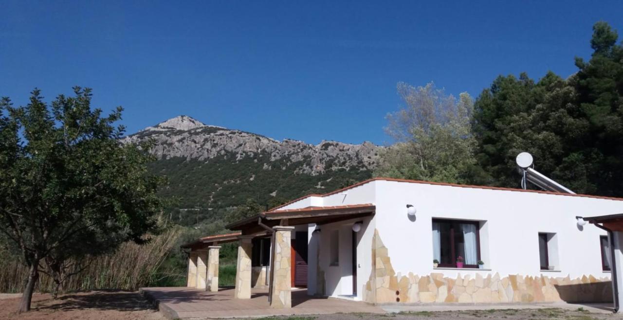 Casa Marcella Lägenhet Dorgali Exteriör bild