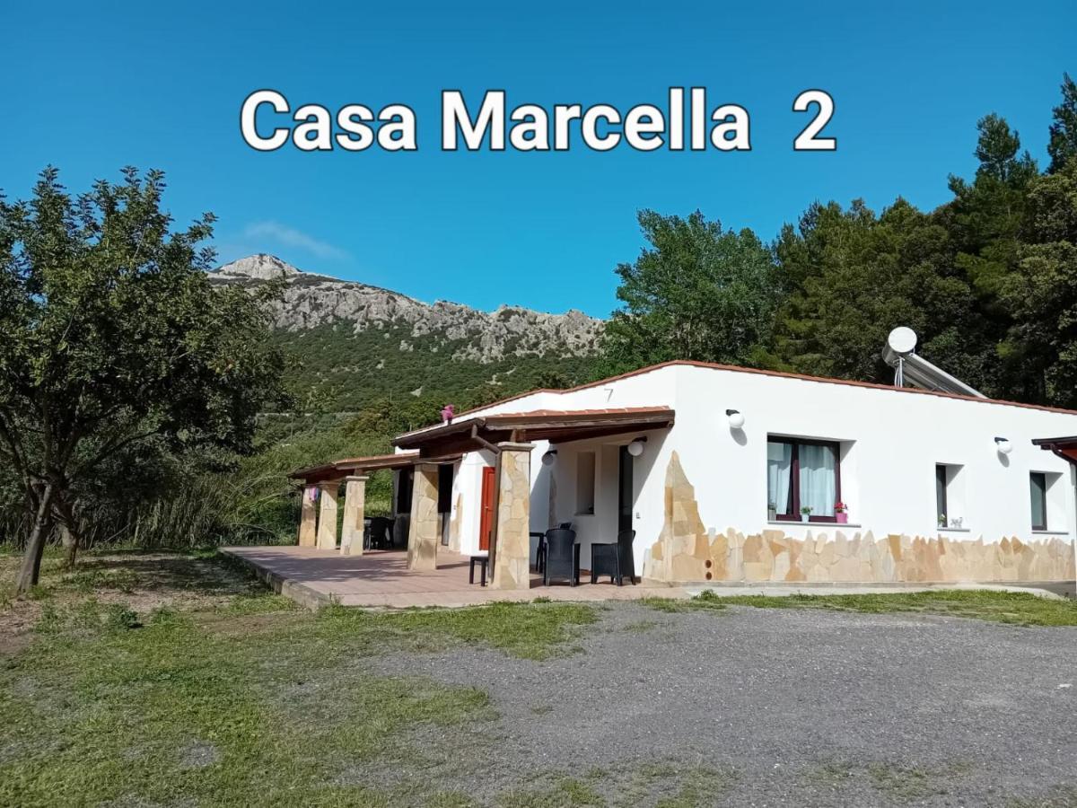 Casa Marcella Lägenhet Dorgali Exteriör bild